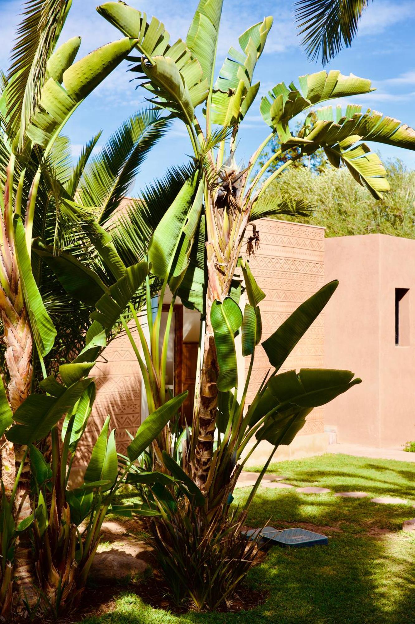 Les Roses By La Siredrah Hotel Marrakesh Exterior photo